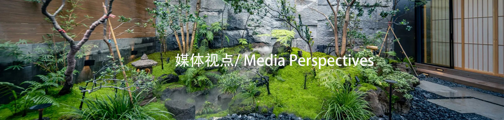 图片展示